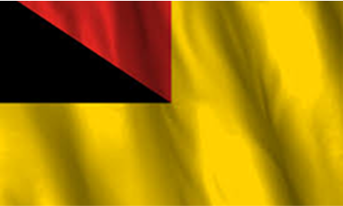Flag Icon